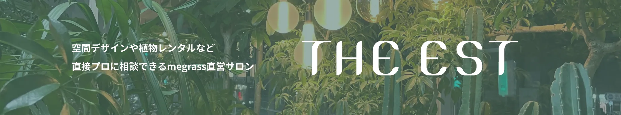 空間デザインや植物レンタルなど直接プロに相談できるmegrass直営サロン、THE EST